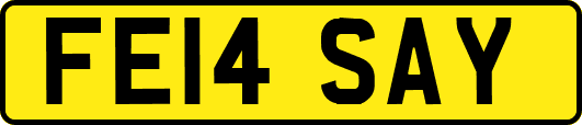 FE14SAY