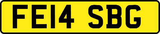 FE14SBG