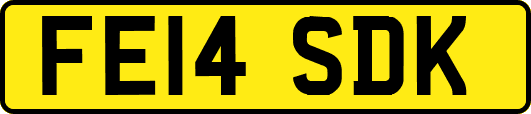 FE14SDK