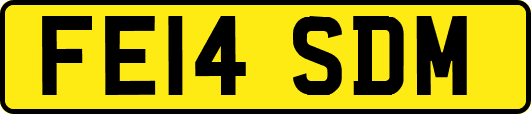 FE14SDM