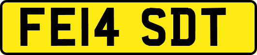 FE14SDT
