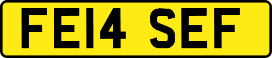 FE14SEF