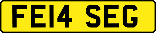 FE14SEG