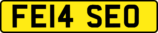 FE14SEO