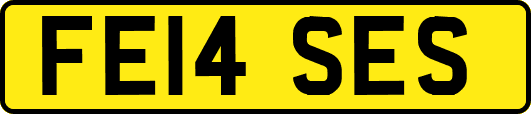 FE14SES