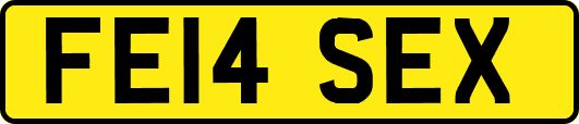 FE14SEX