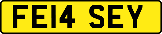 FE14SEY