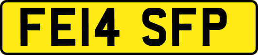 FE14SFP