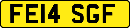 FE14SGF