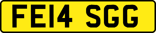 FE14SGG