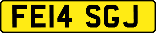 FE14SGJ