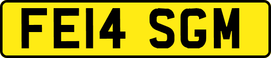 FE14SGM