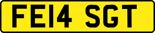 FE14SGT