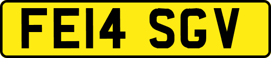 FE14SGV