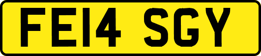 FE14SGY