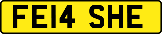 FE14SHE