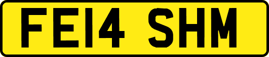 FE14SHM