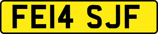 FE14SJF