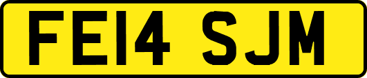 FE14SJM
