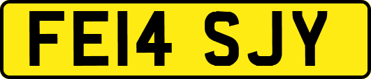 FE14SJY