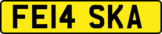FE14SKA