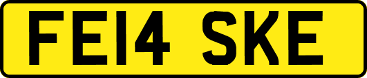 FE14SKE