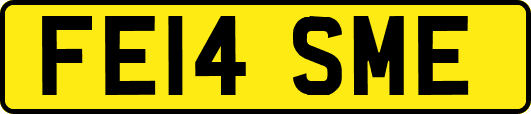 FE14SME