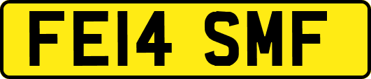 FE14SMF