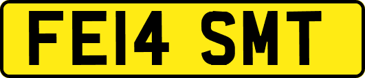 FE14SMT