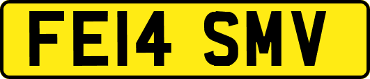 FE14SMV