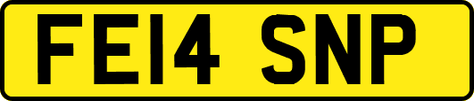 FE14SNP