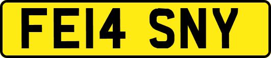 FE14SNY