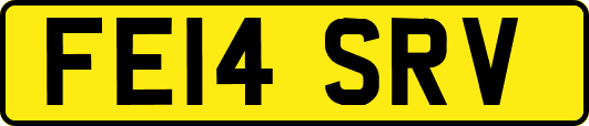 FE14SRV