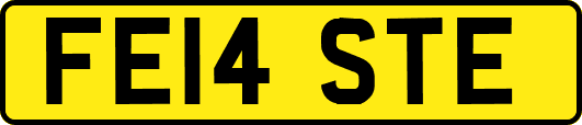 FE14STE