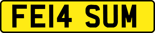FE14SUM