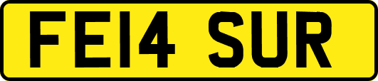 FE14SUR