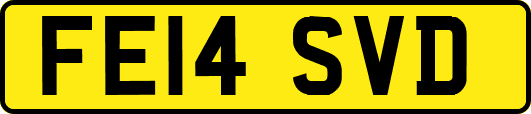 FE14SVD