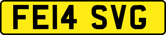 FE14SVG