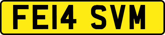 FE14SVM