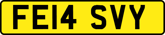 FE14SVY