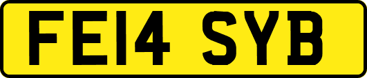 FE14SYB
