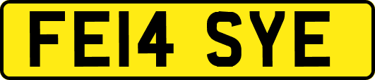FE14SYE