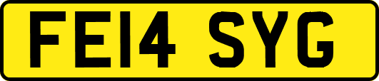 FE14SYG