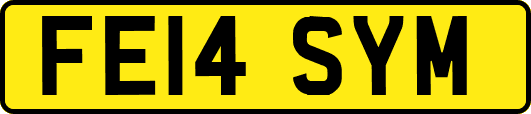 FE14SYM