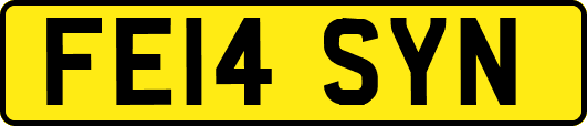 FE14SYN