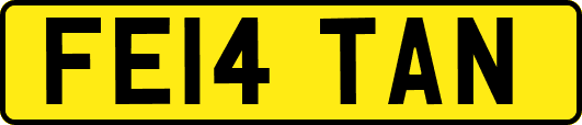 FE14TAN