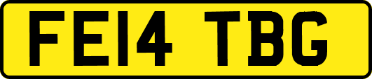 FE14TBG