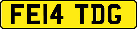 FE14TDG