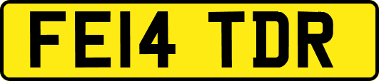 FE14TDR