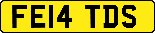 FE14TDS